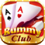 rummy all games